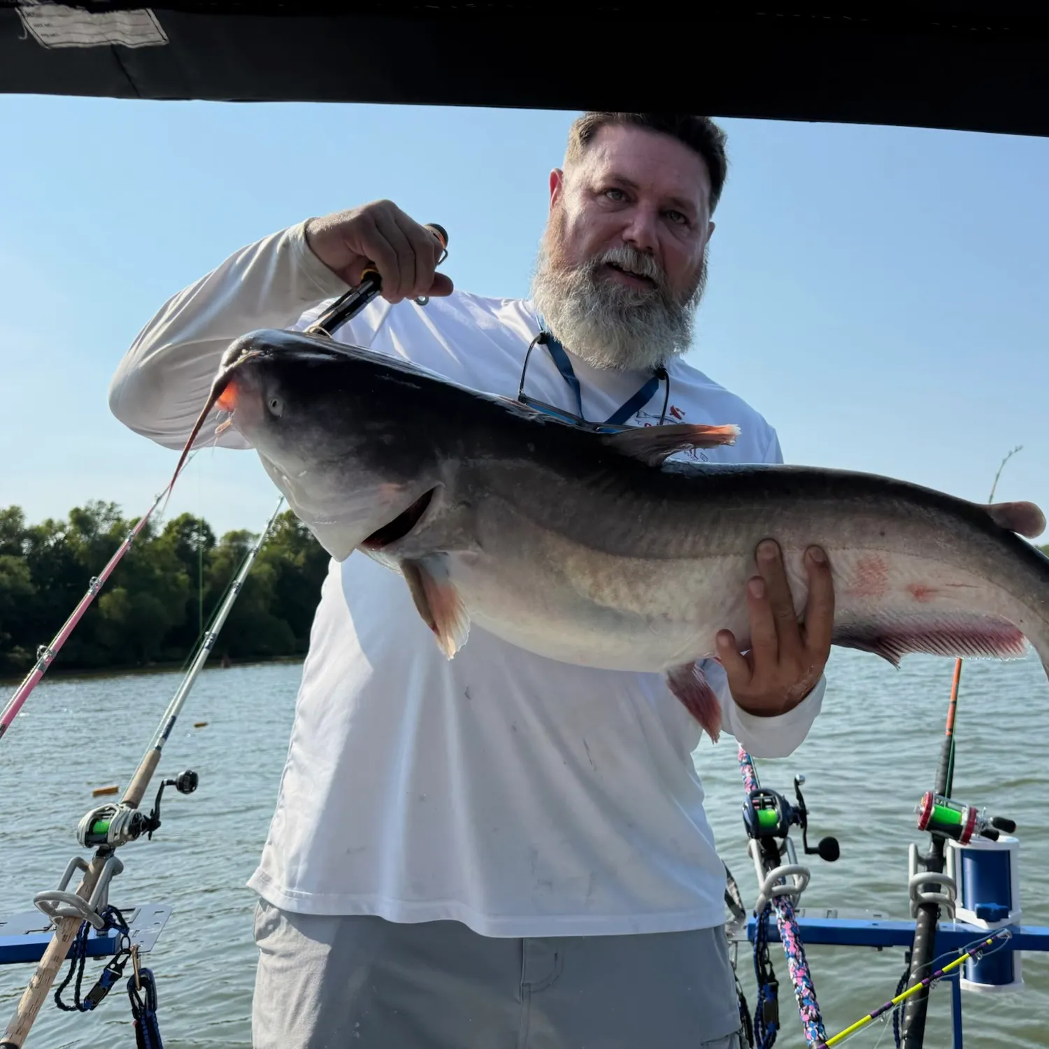 Blue catfish caught on Fishbrain