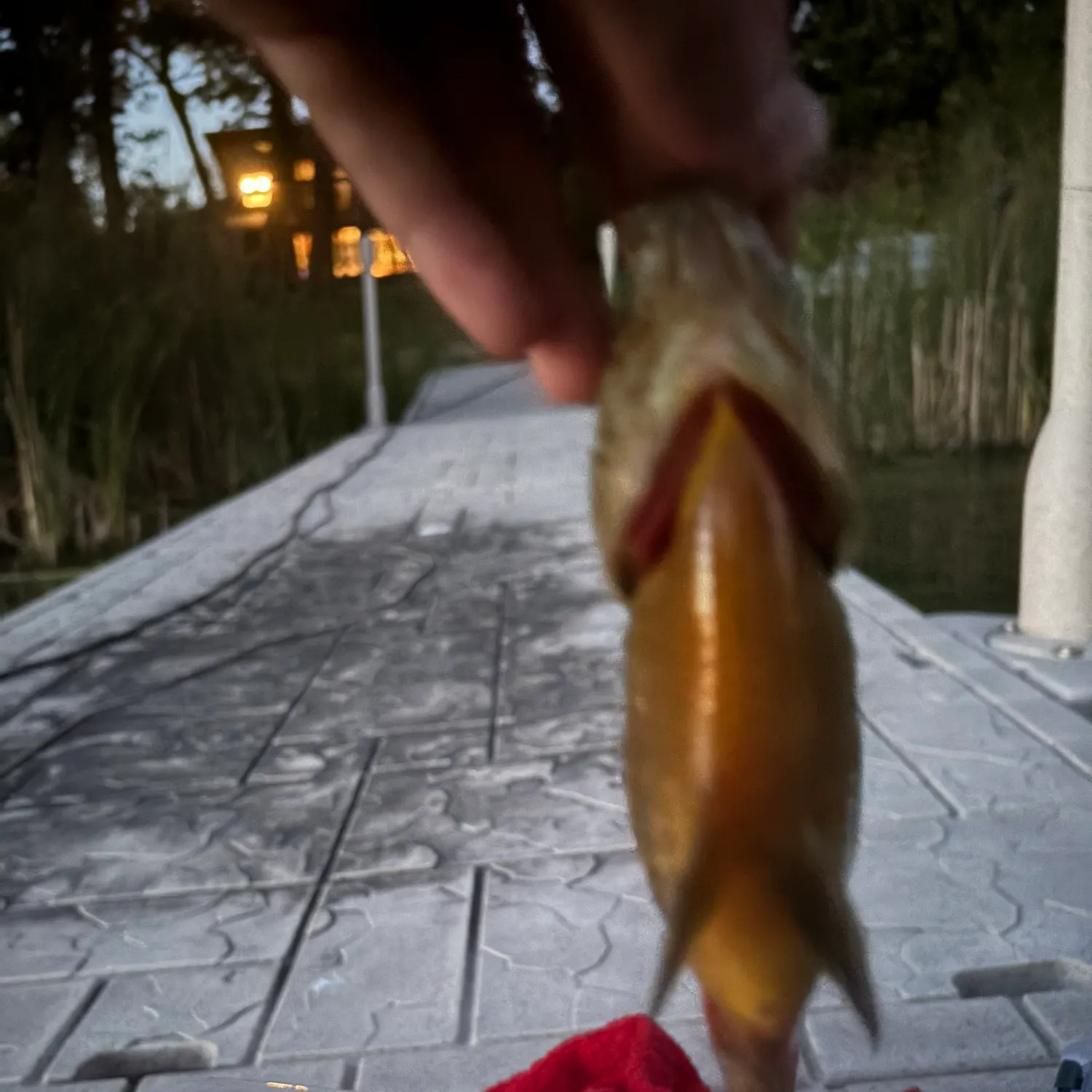 catch
