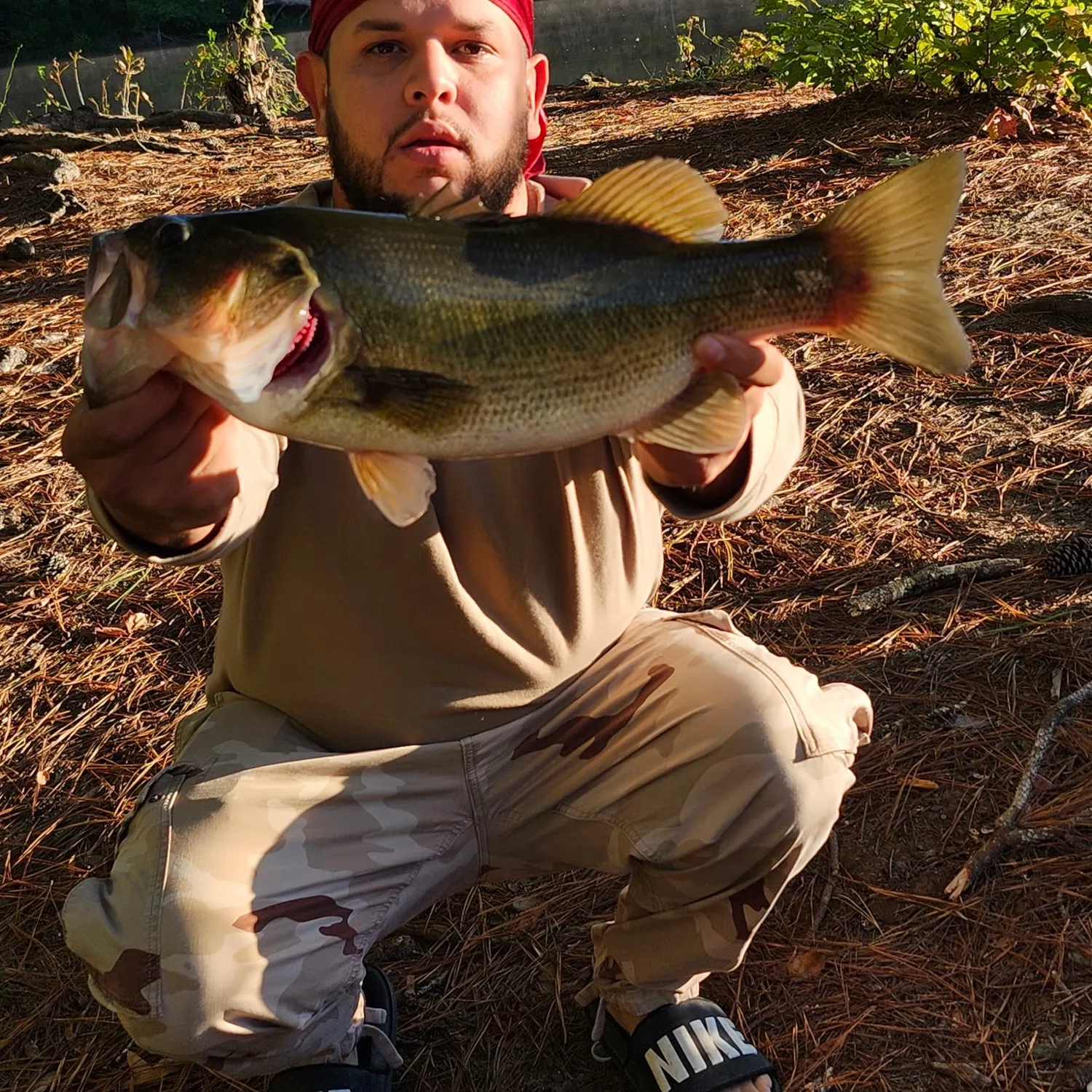catch