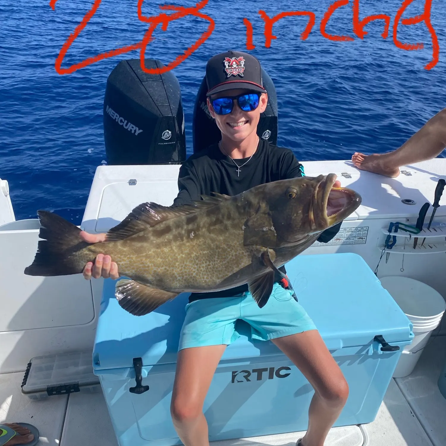 The most recent Black grouper catches on Fishbrain