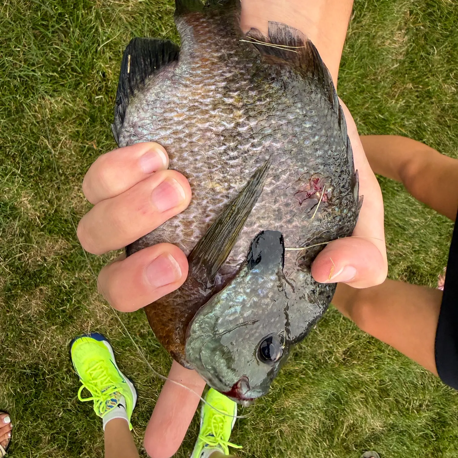 catch