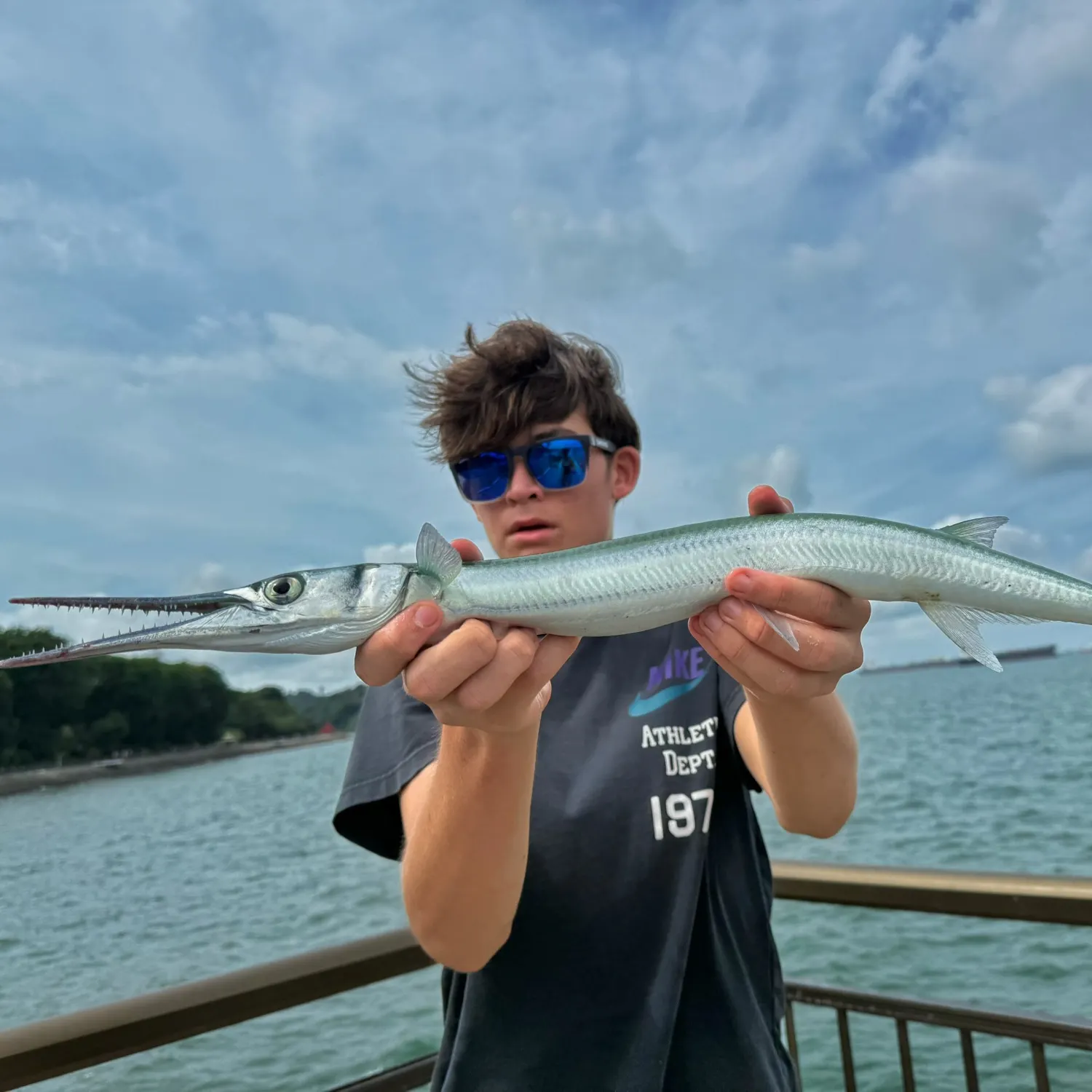 The most recent Hound needlefish catches on Fishbrain
