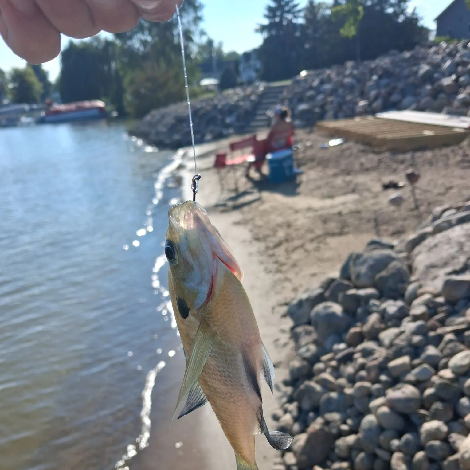 catch