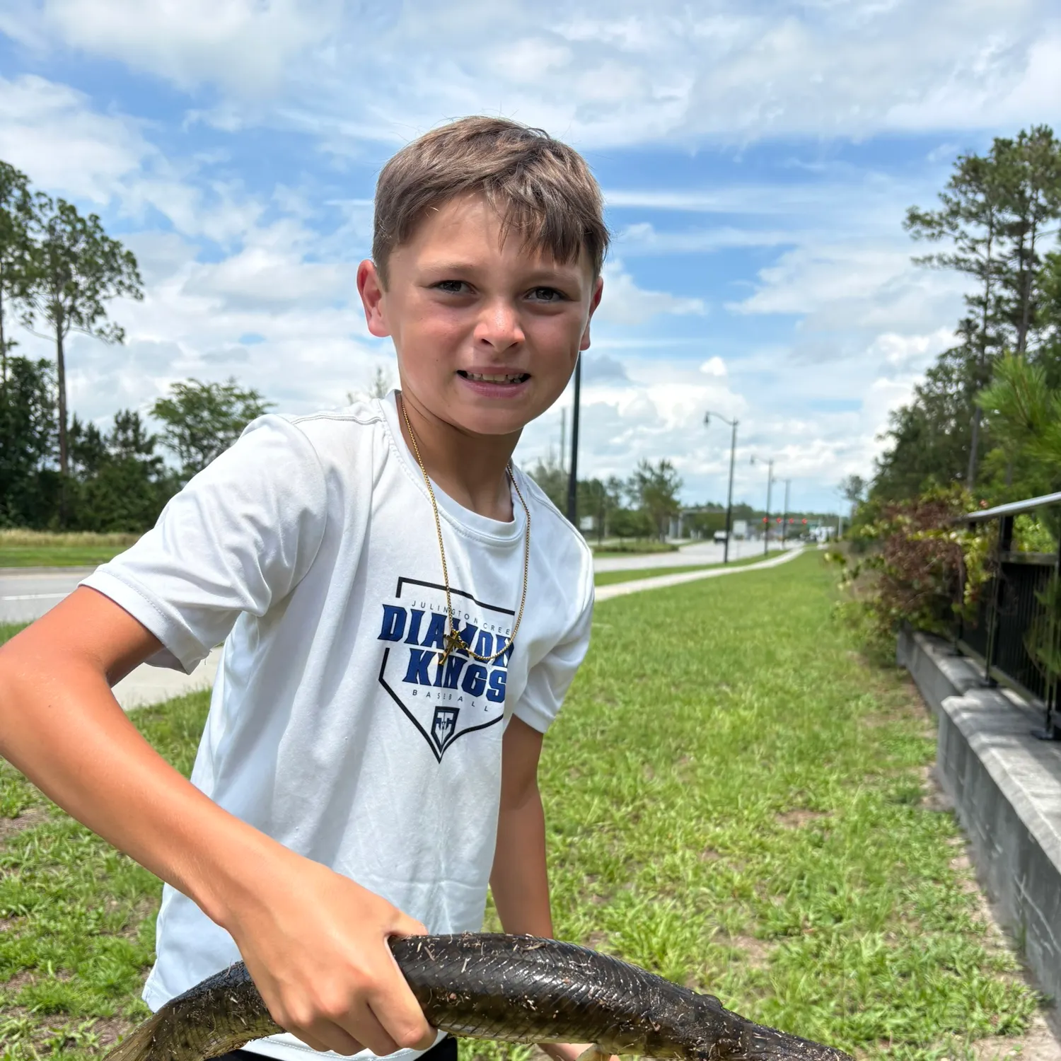 The most recent Spotted gar catches on Fishbrain