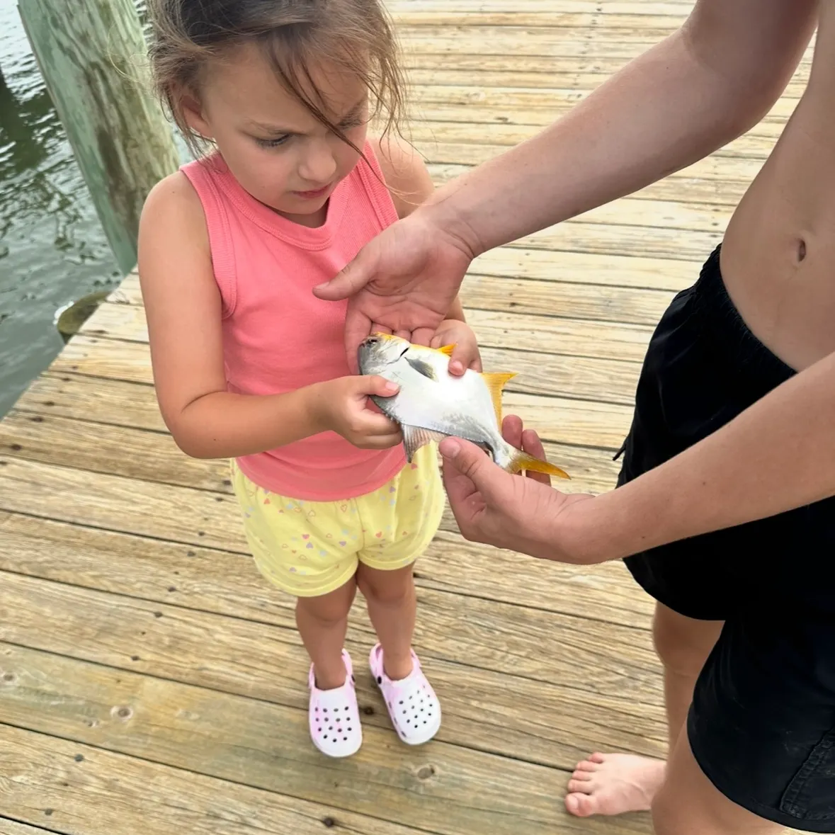 The most recent Florida pompano catches on Fishbrain
