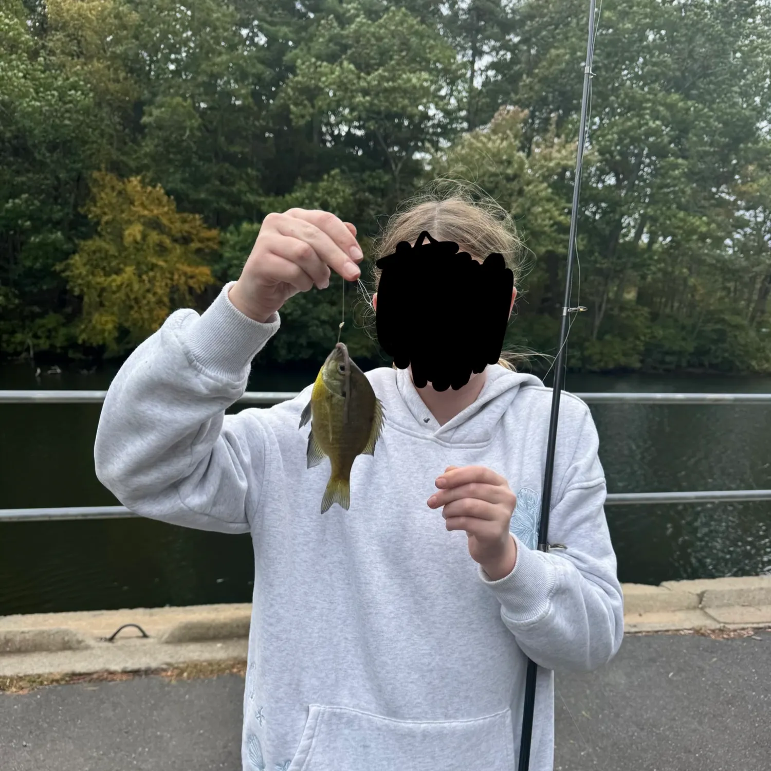 Bluegill caught on Fishbrain
