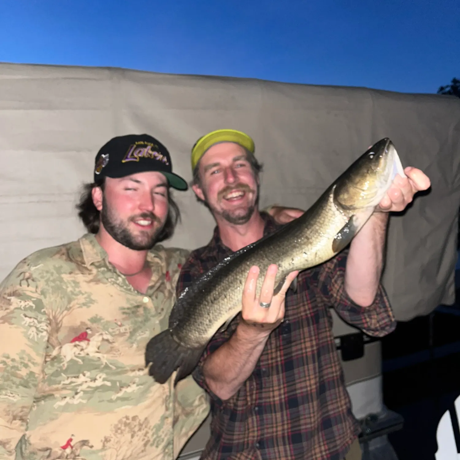 The most recent Eyetail bowfin catches on Fishbrain