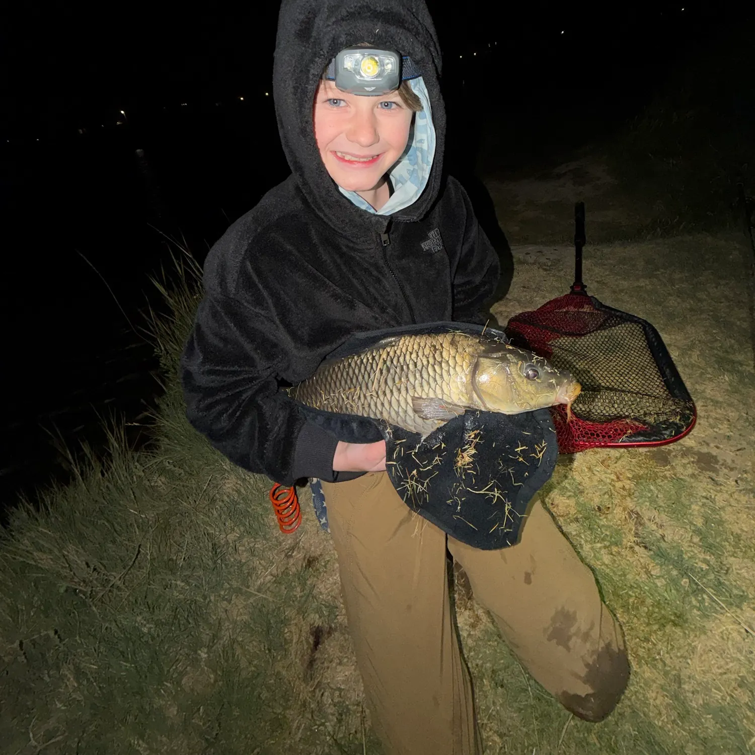 Common carp caught on Fishbrain
