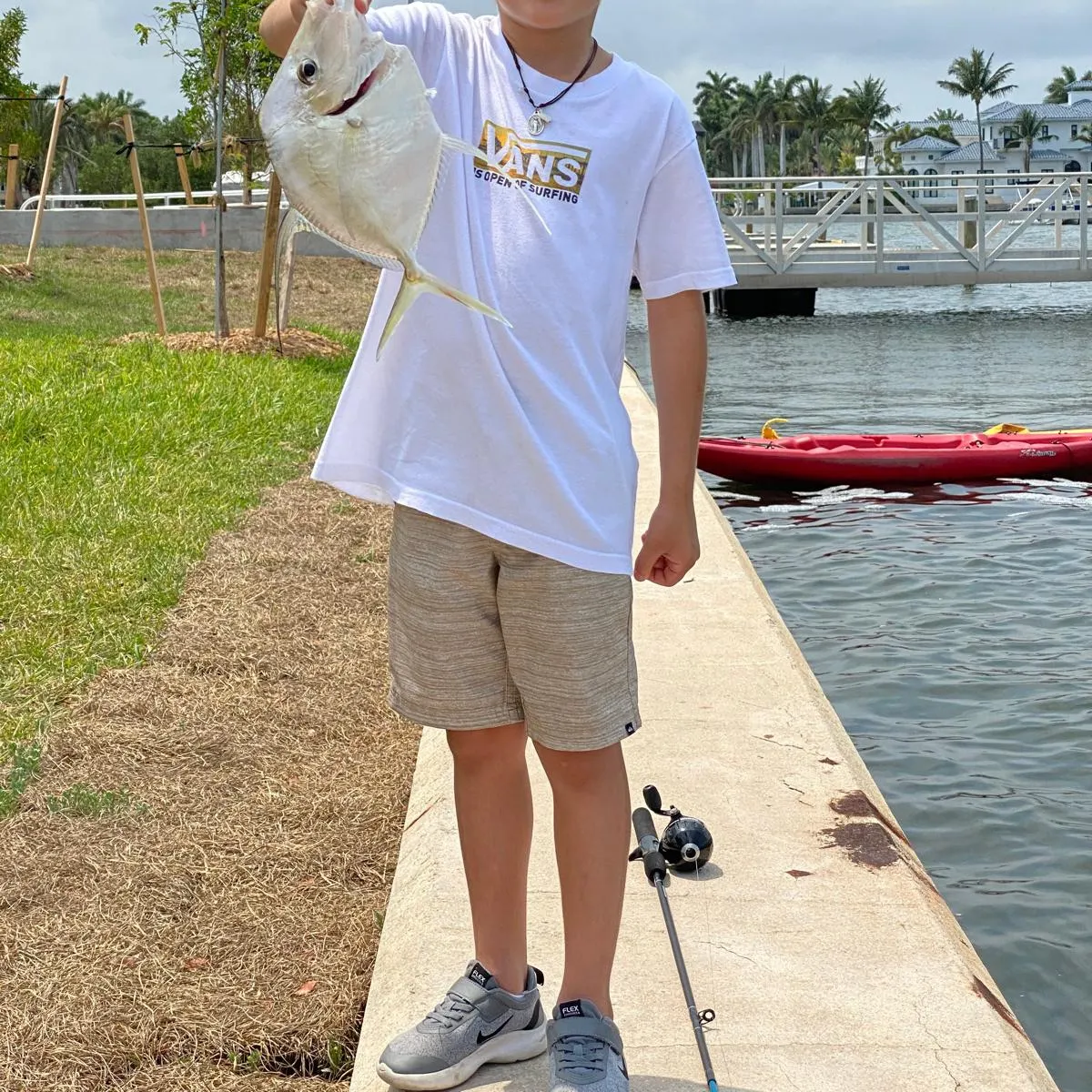 Lookdown caught on Fishbrain