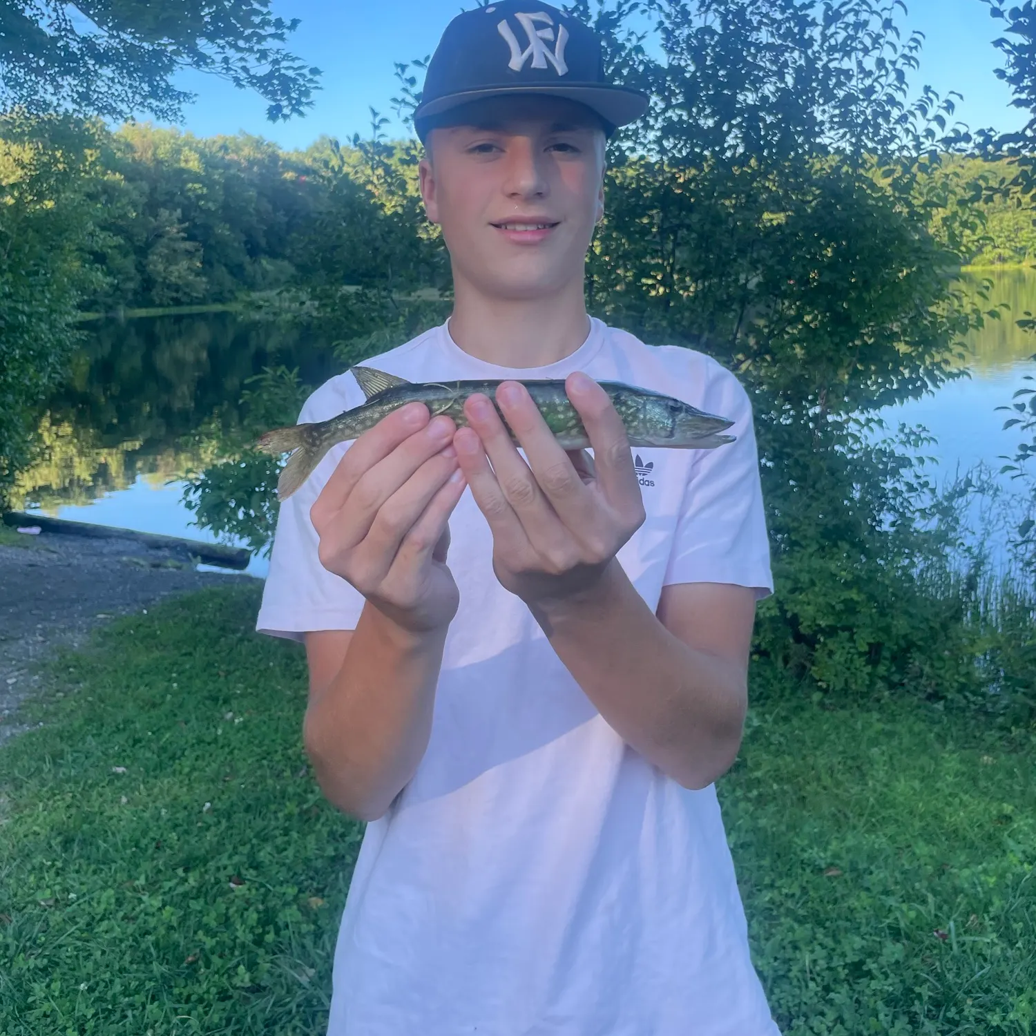 Chain pickerel caught on Fishbrain