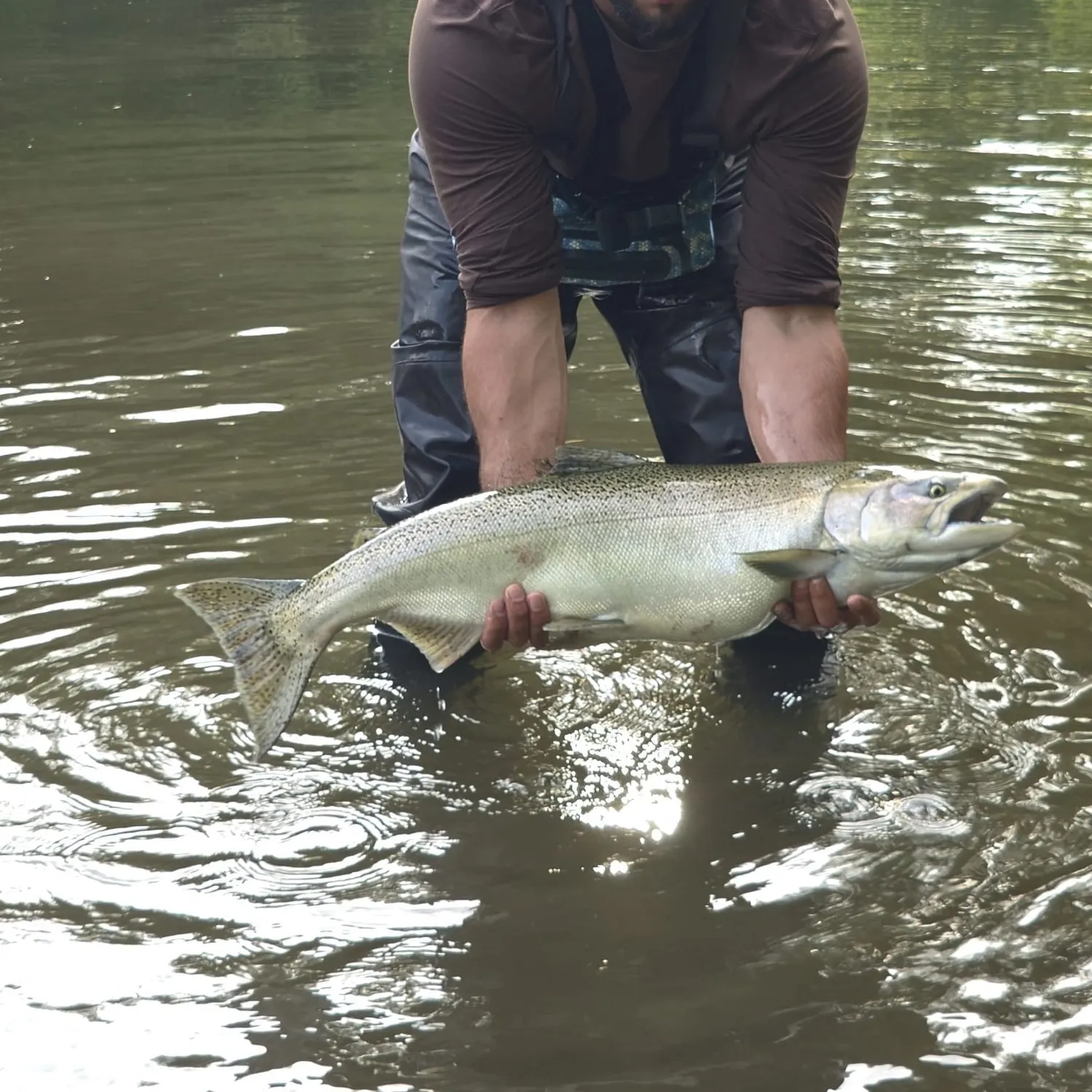 Chinook salmon caught on Fishbrain