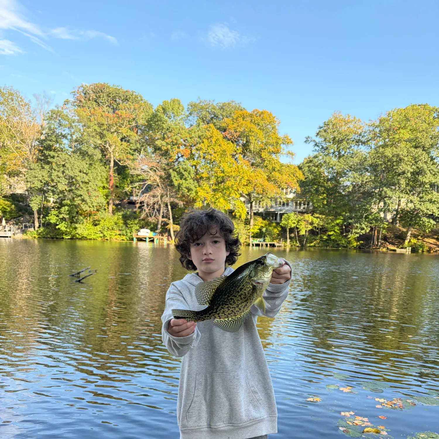 Black crappie caught on Fishbrain