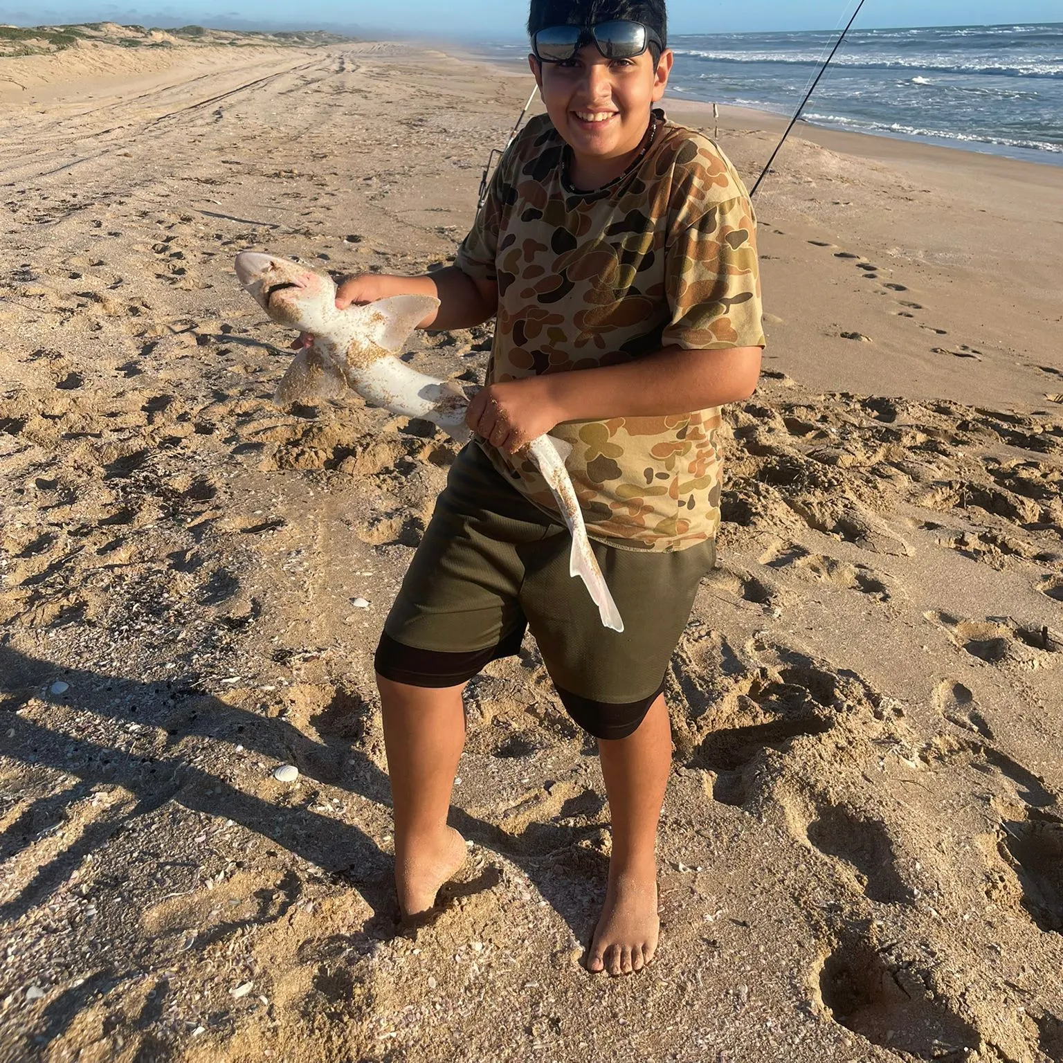 The most recent Gummy shark catches on Fishbrain