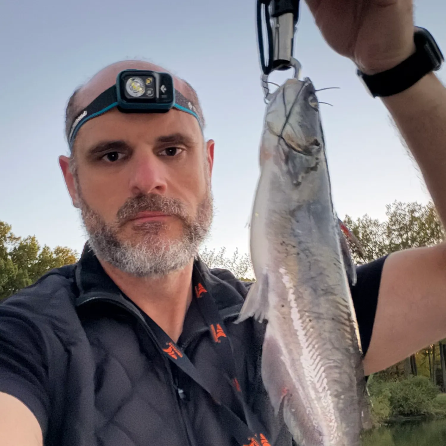 Channel catfish caught on Fishbrain