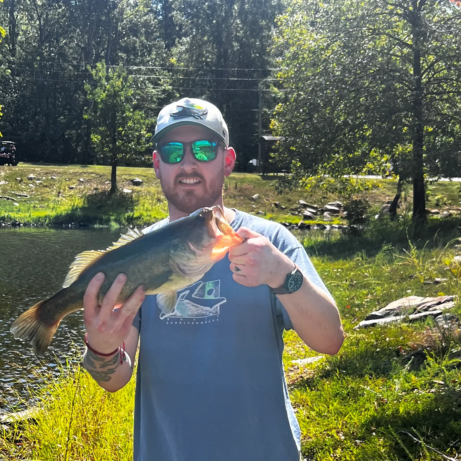 Fish caught on Fishbrain
