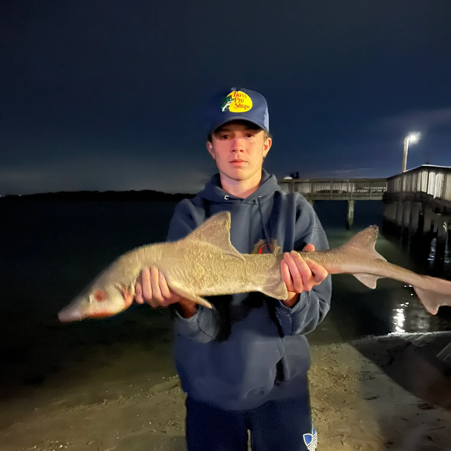 The most recent Dusky smooth-hound catches on Fishbrain