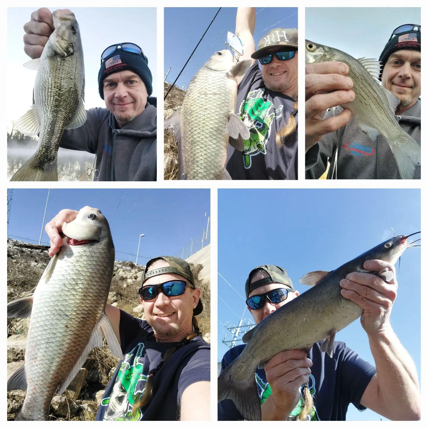 recently logged catches