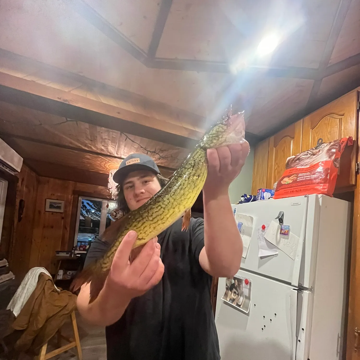 Northern pike caught on Fishbrain