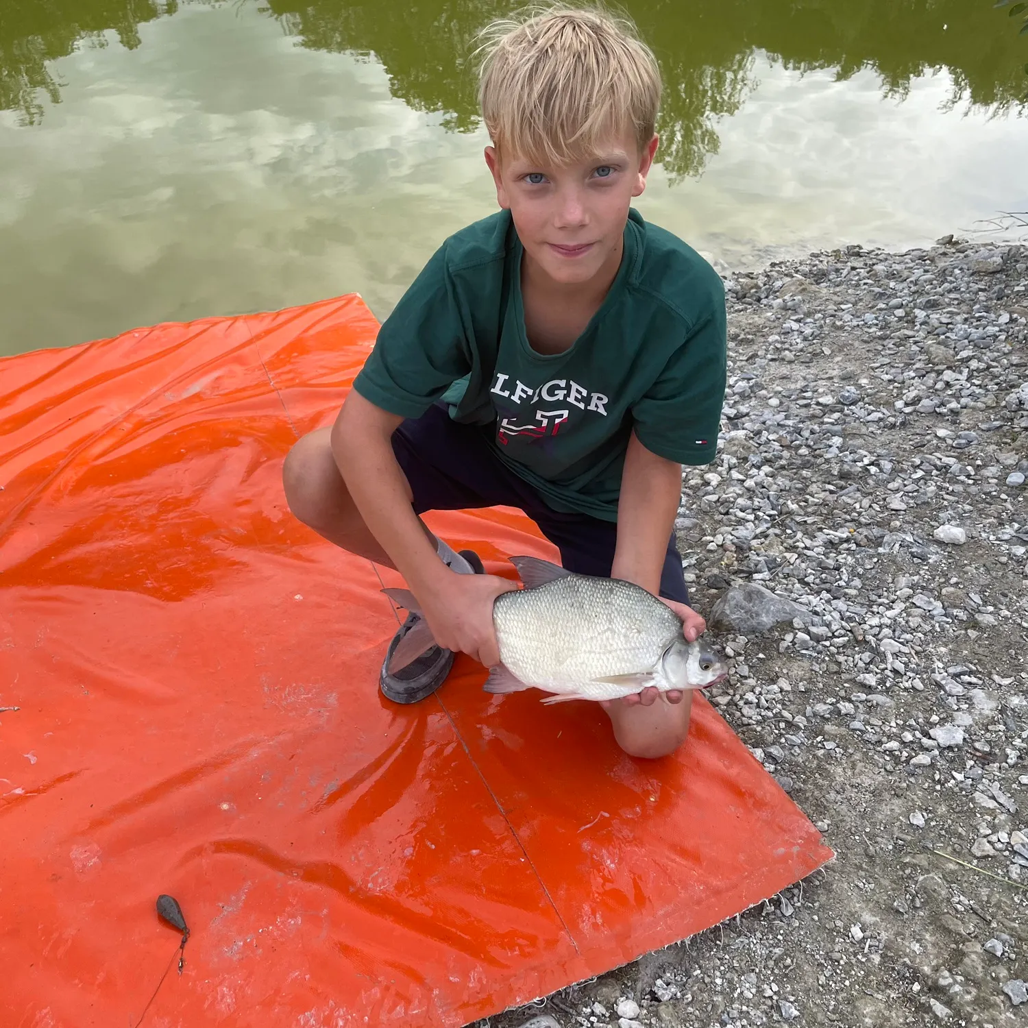 Common bream caught on Fishbrain