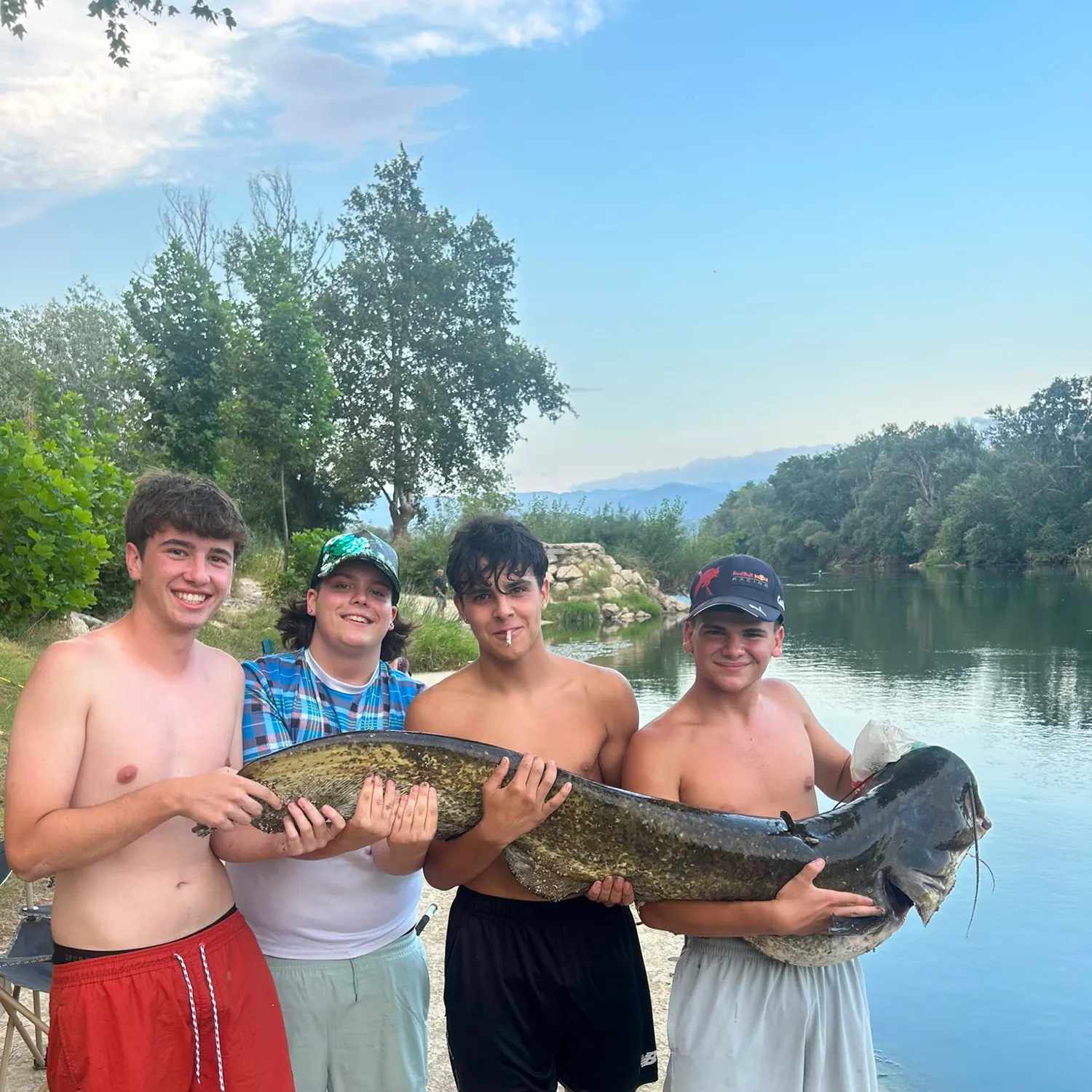 The most recent Wels catfish catches on Fishbrain