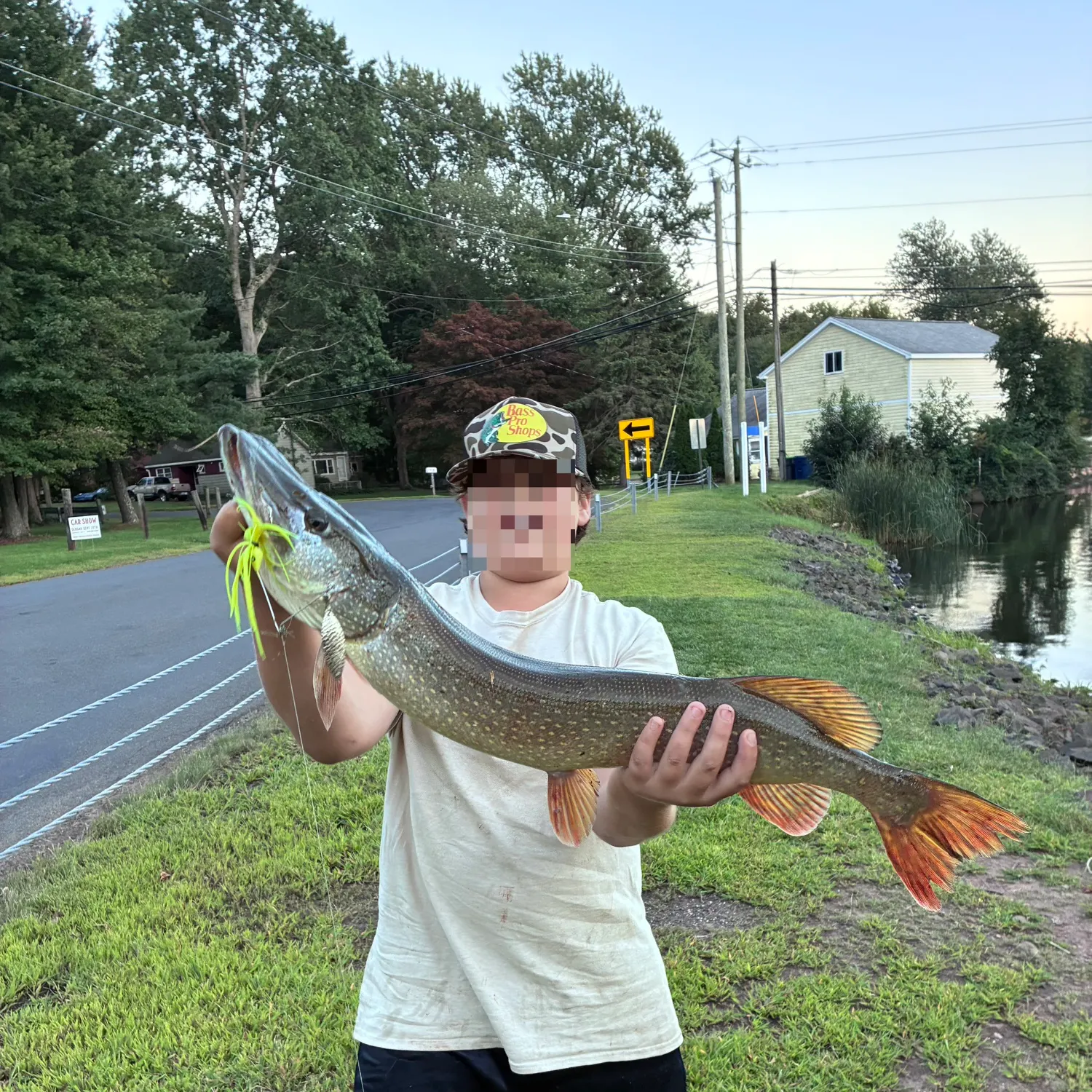 Northern pike caught on Fishbrain