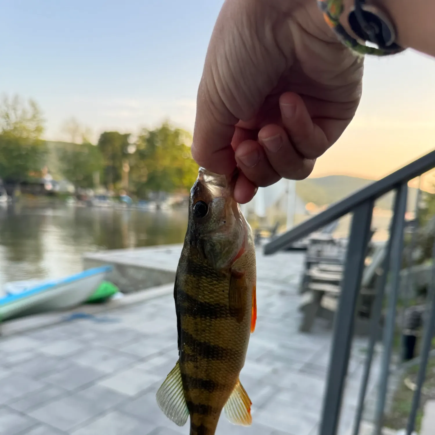 catch