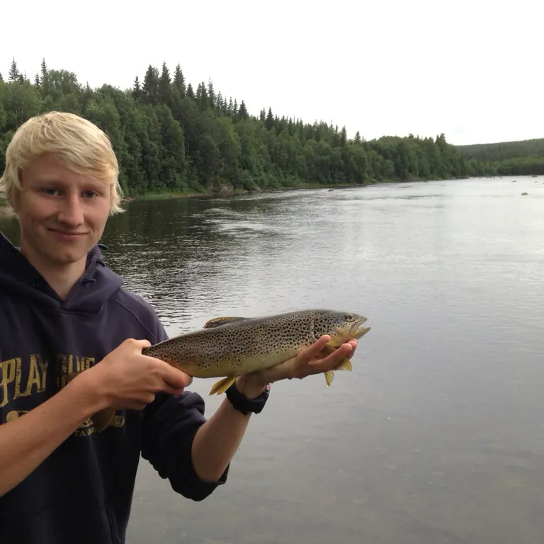 angler catch