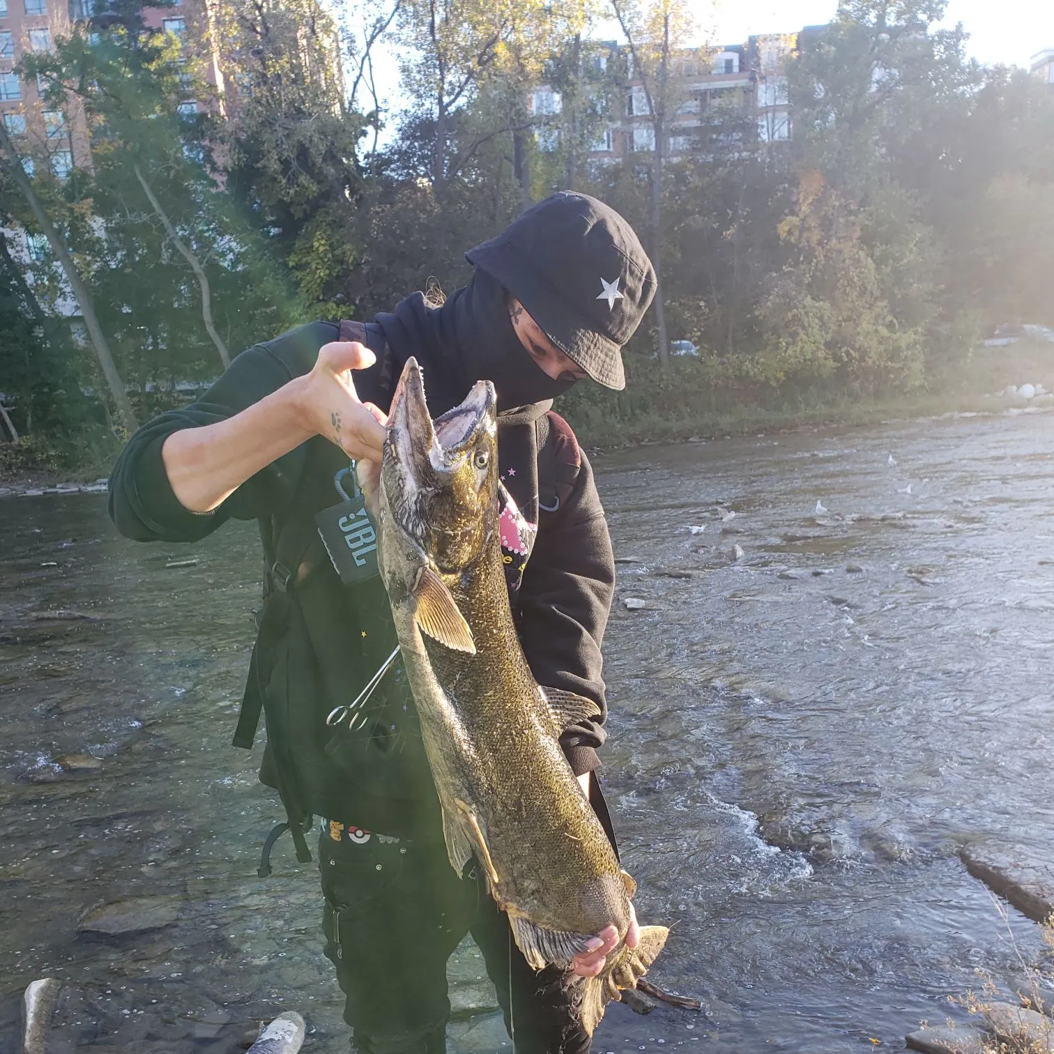Chinook salmon caught on Fishbrain