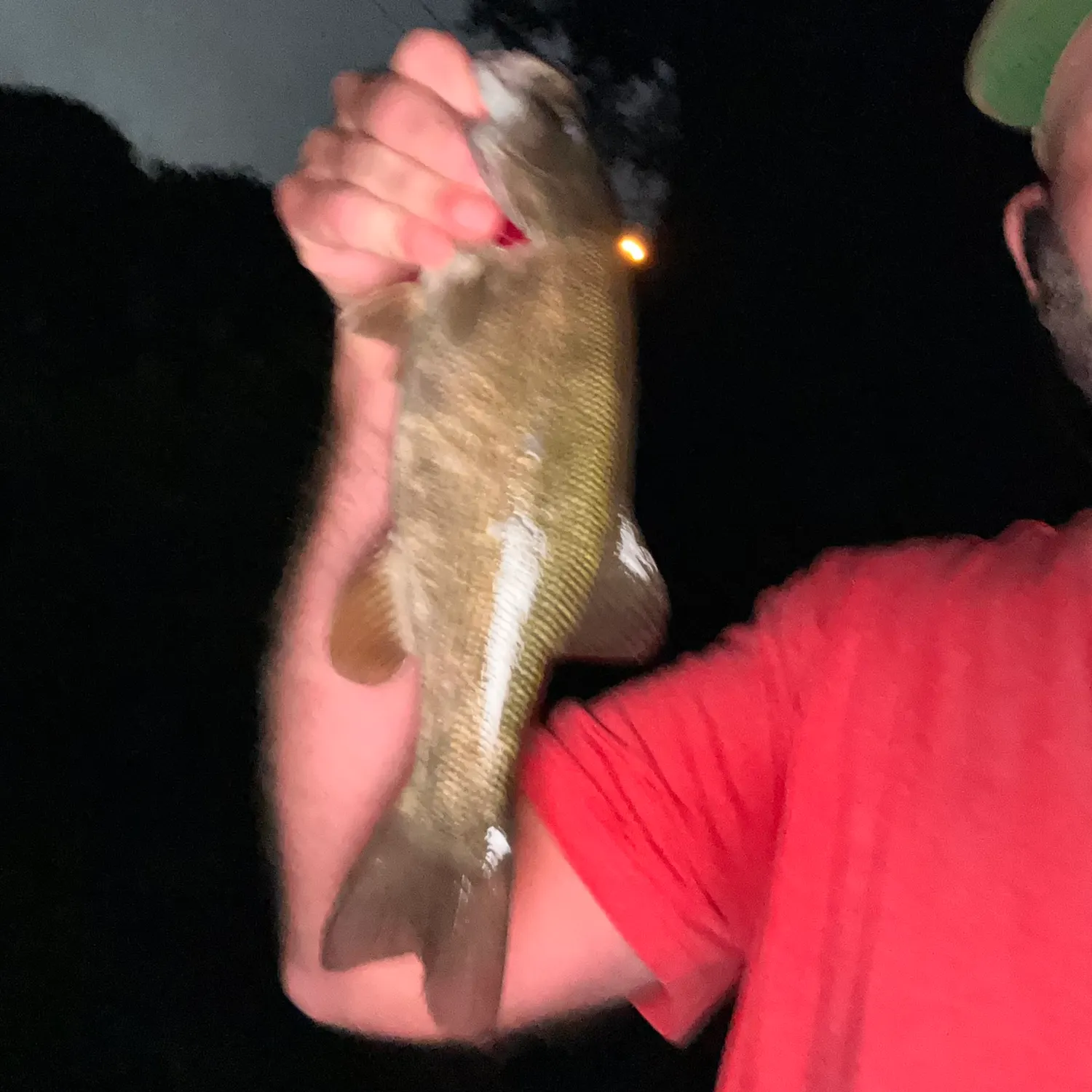 Smallmouth bass caught on Fishbrain