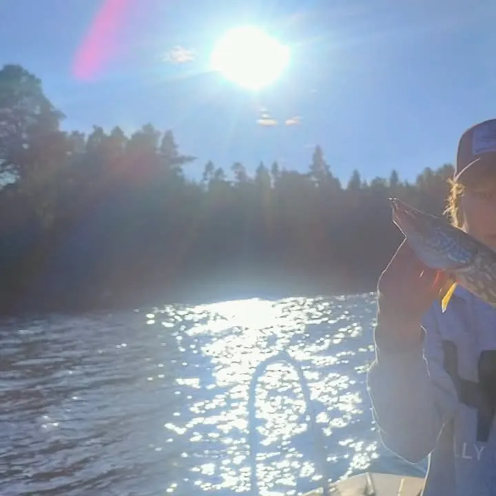 Northern pike caught on Fishbrain