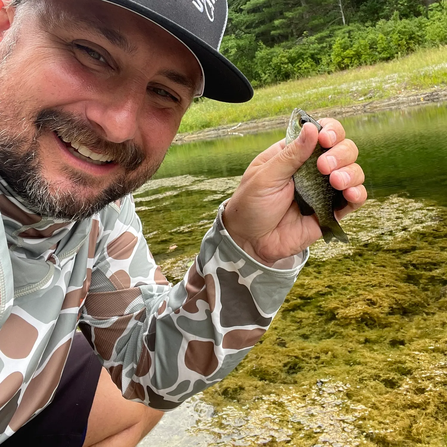 Bluegill caught on Fishbrain