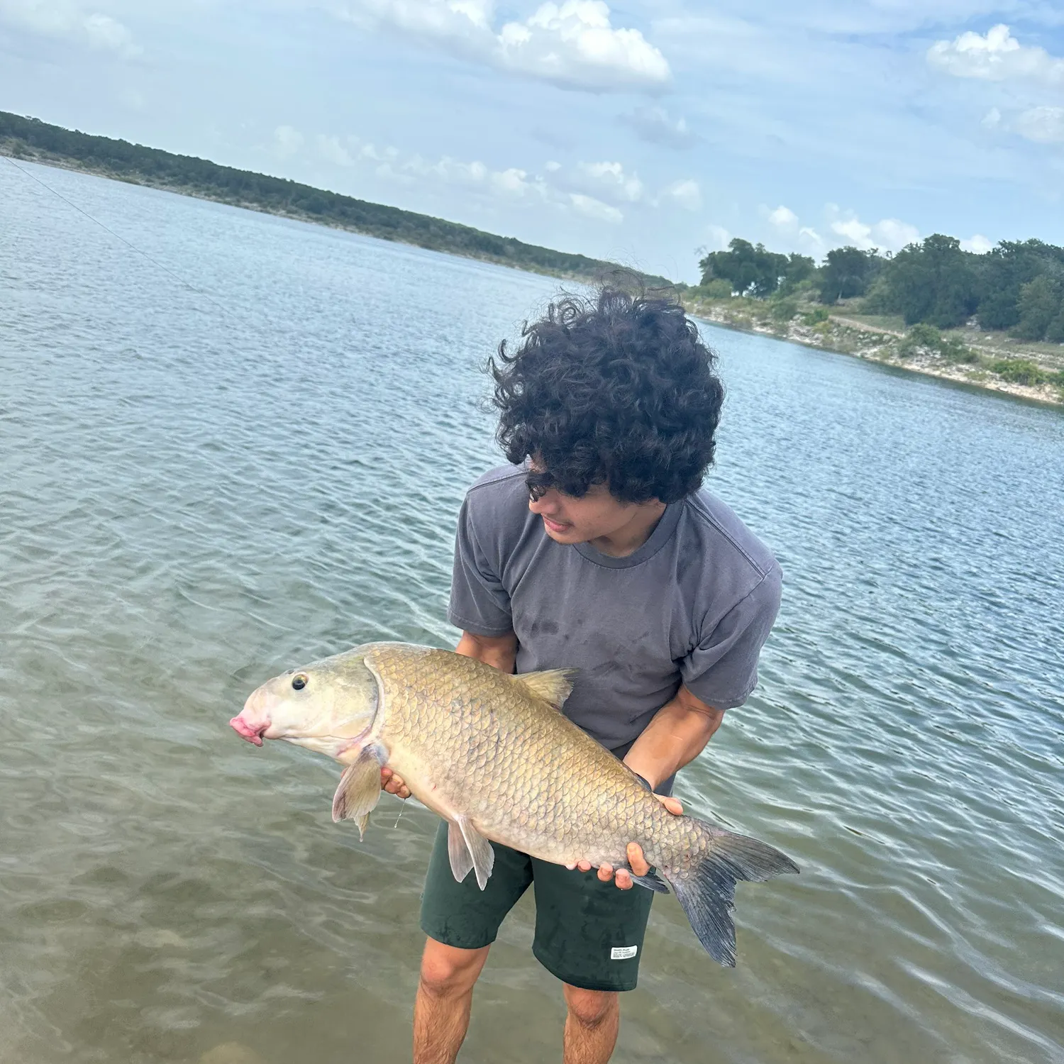 The most recent Smallmouth x black buffalo catches on Fishbrain