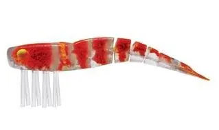 Live Shrimp