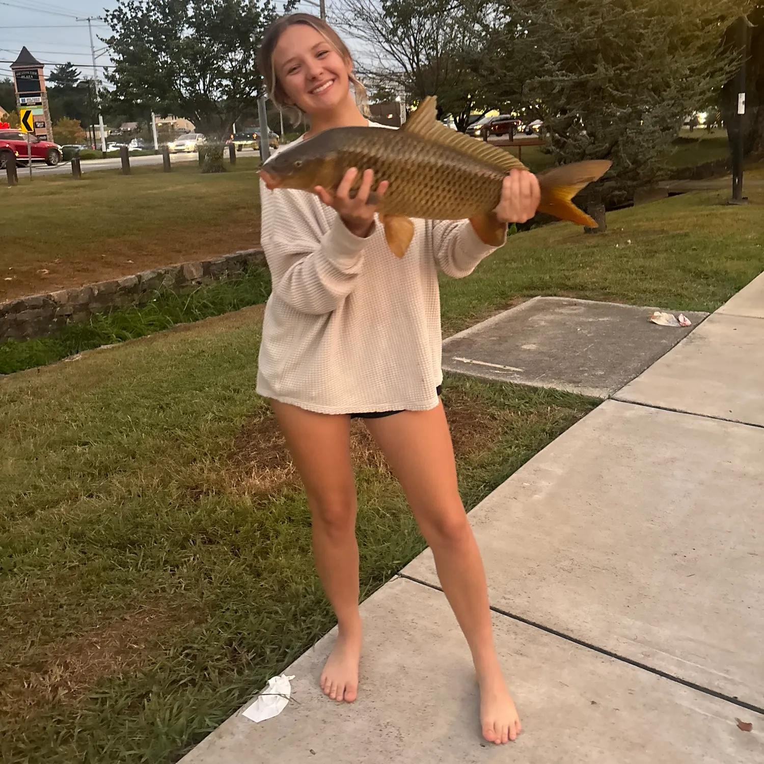 Common carp caught on Fishbrain