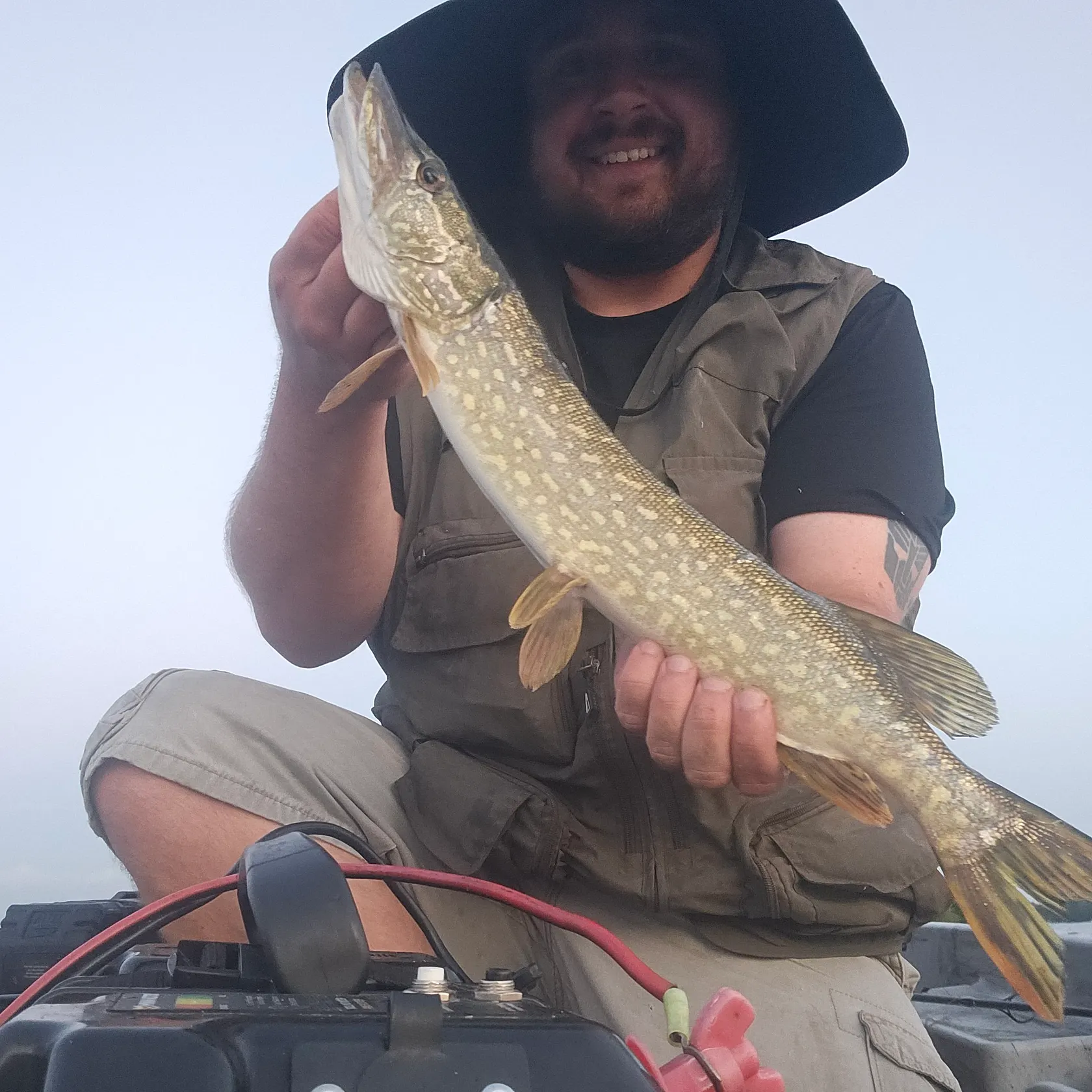 Northern pike caught on Fishbrain