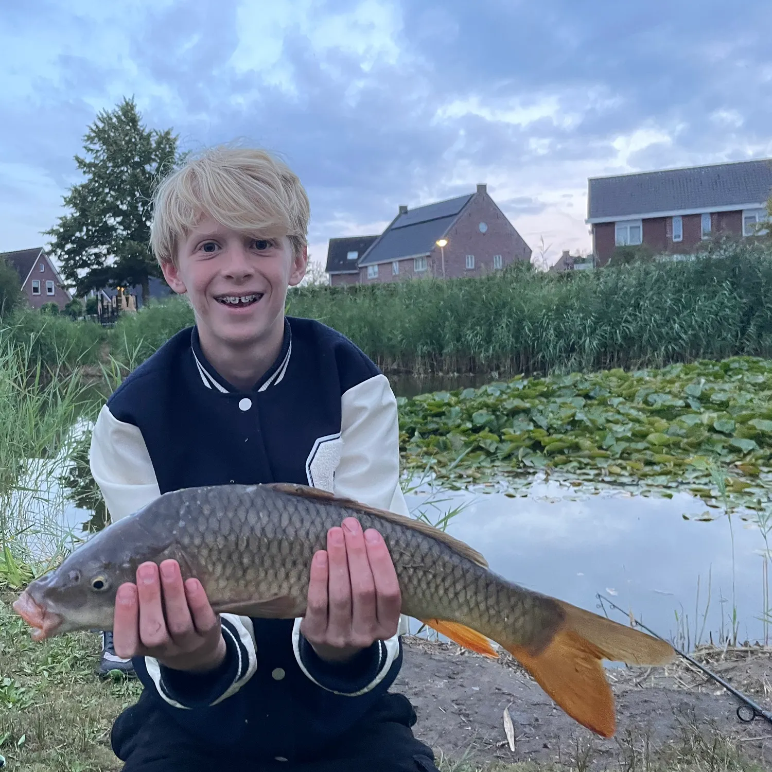 Common carp caught on Fishbrain