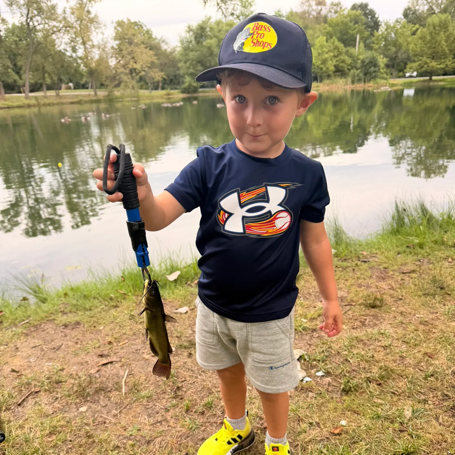 Yellow bullhead caught on Fishbrain