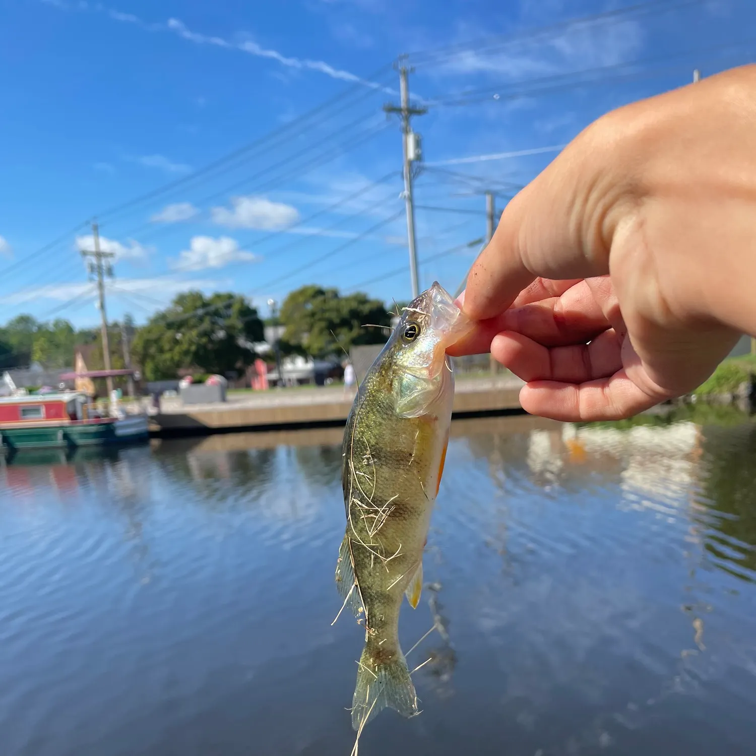 catch