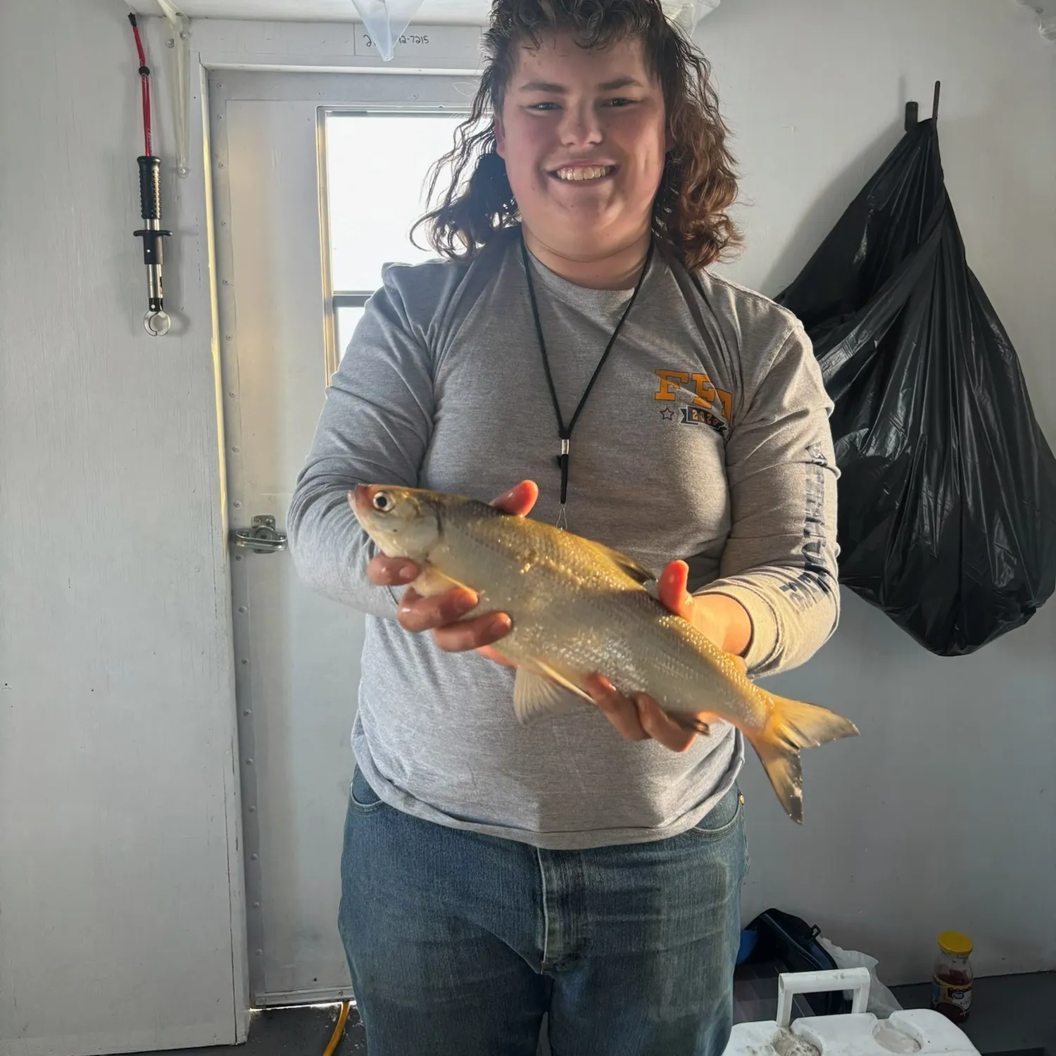 The most recent Northern cisco catches on Fishbrain