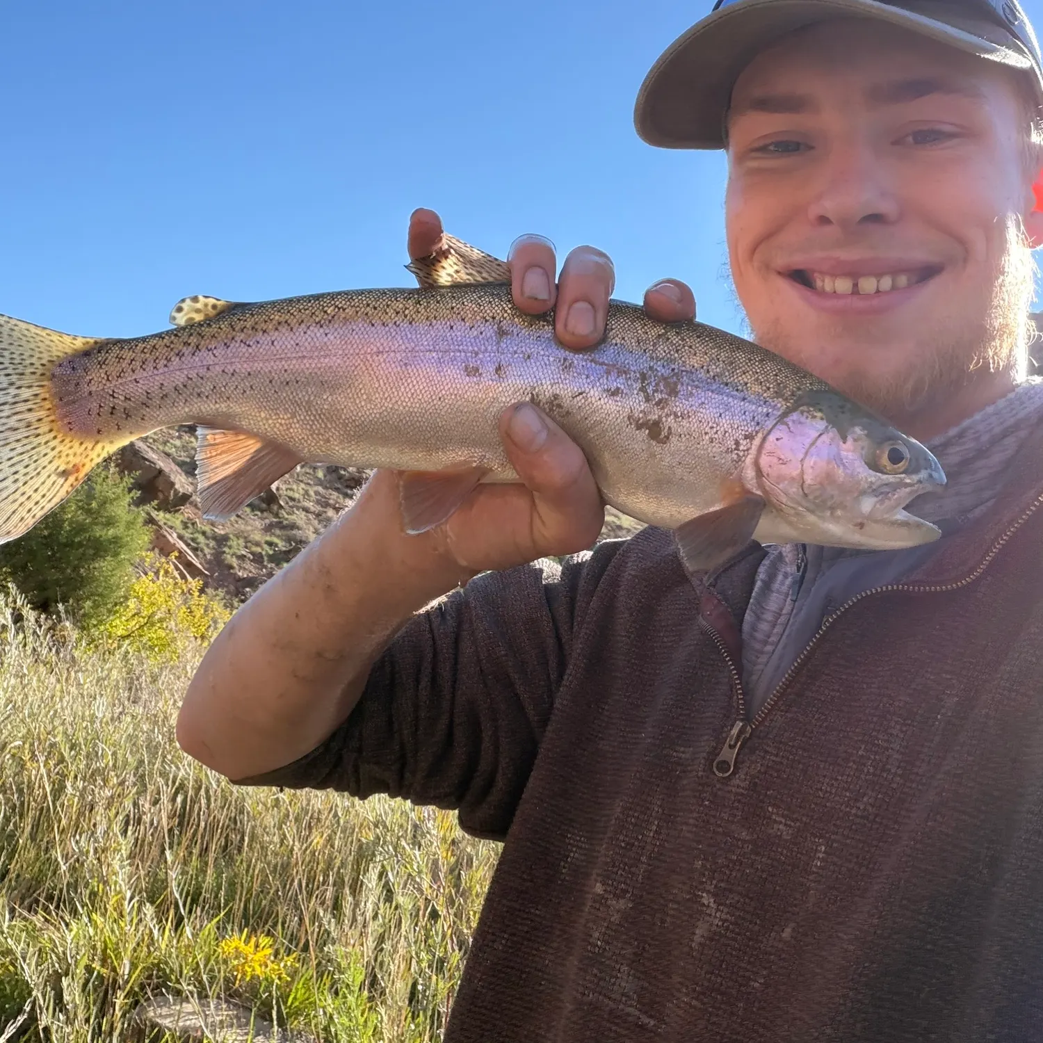 Rainbow trout caught on Fishbrain