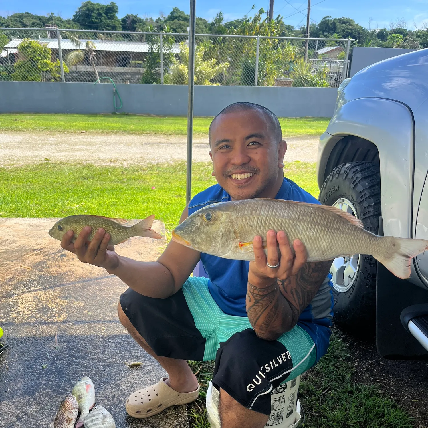 The most recent Yellowlip emperor catches on Fishbrain