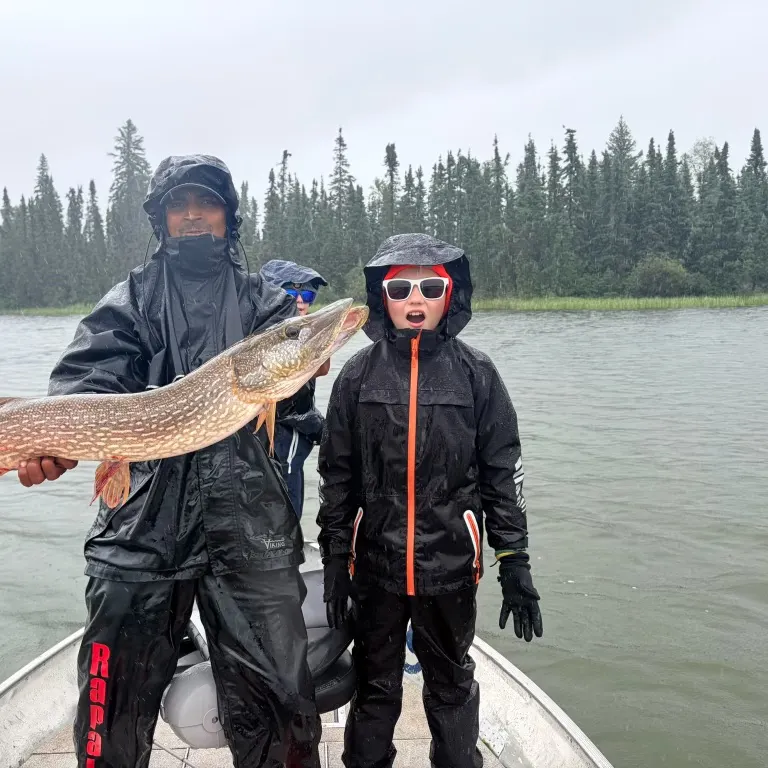 Northern pike caught on Fishbrain