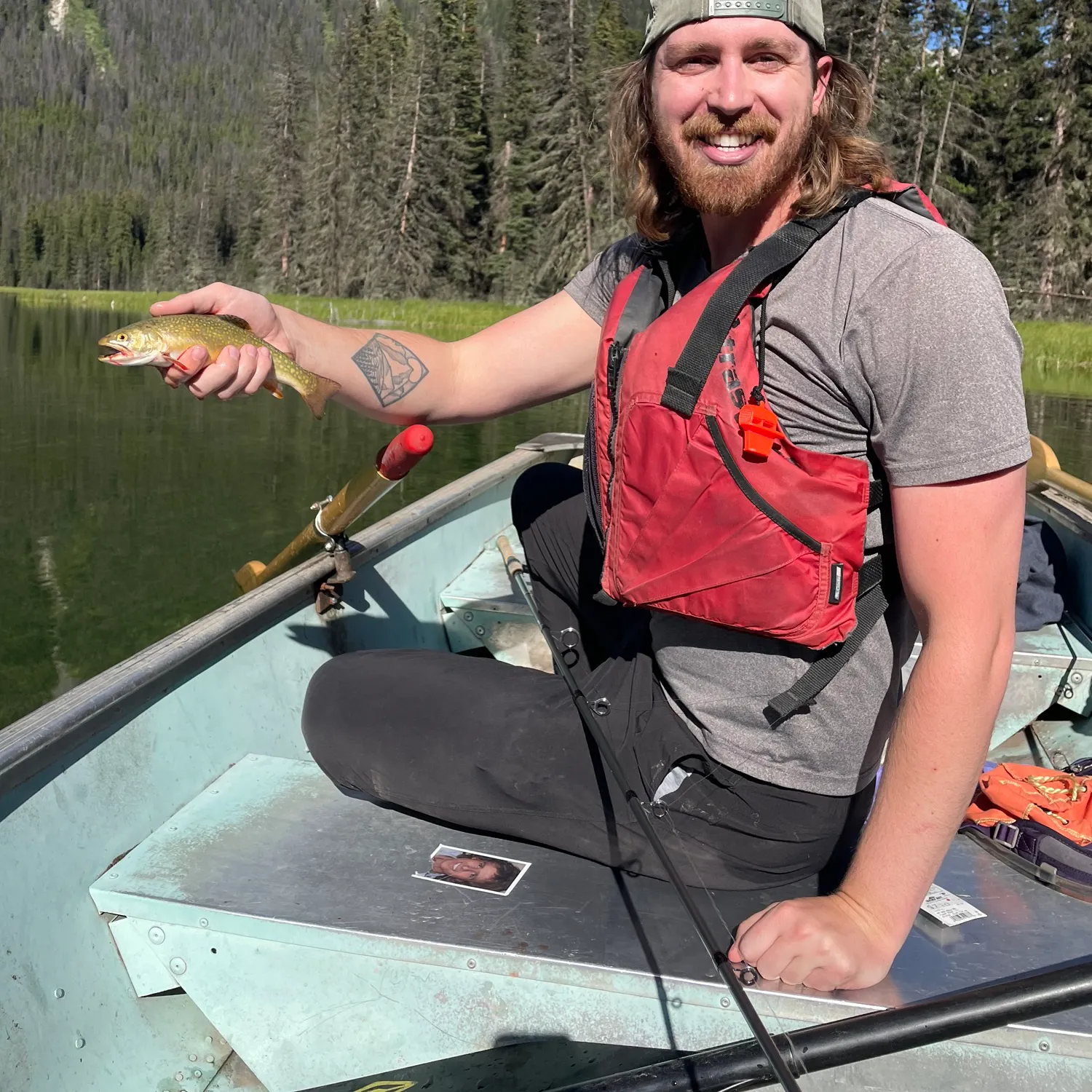 The most recent Brown trout catches on Fishbrain