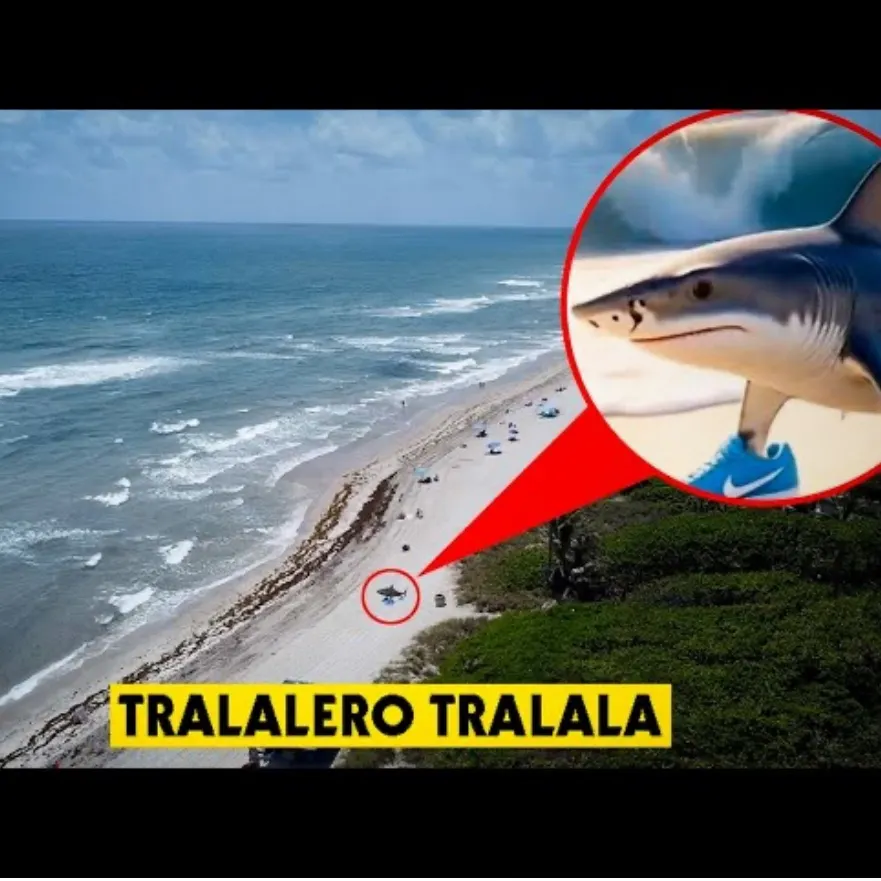 The most recent Rock bass catches on Fishbrain