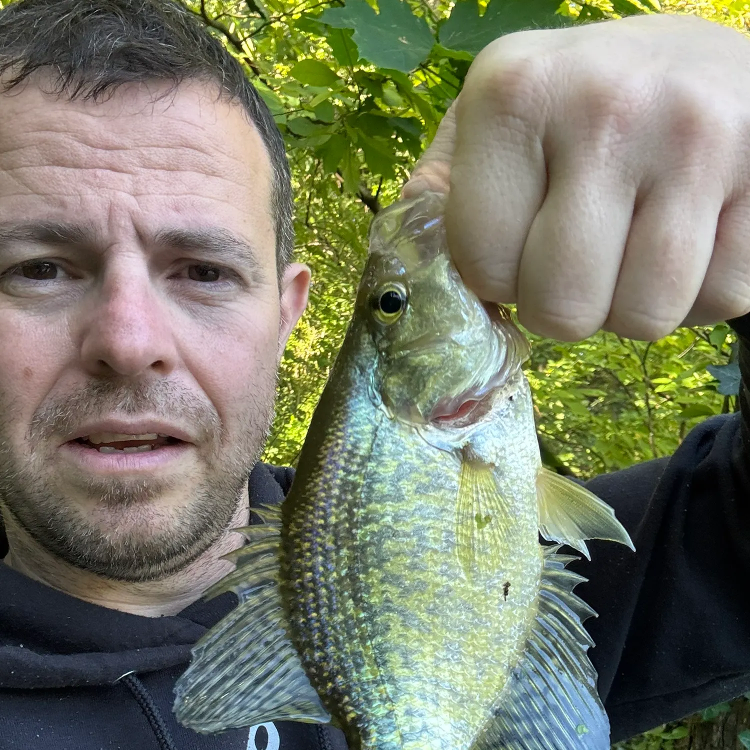 Black crappie caught on Fishbrain