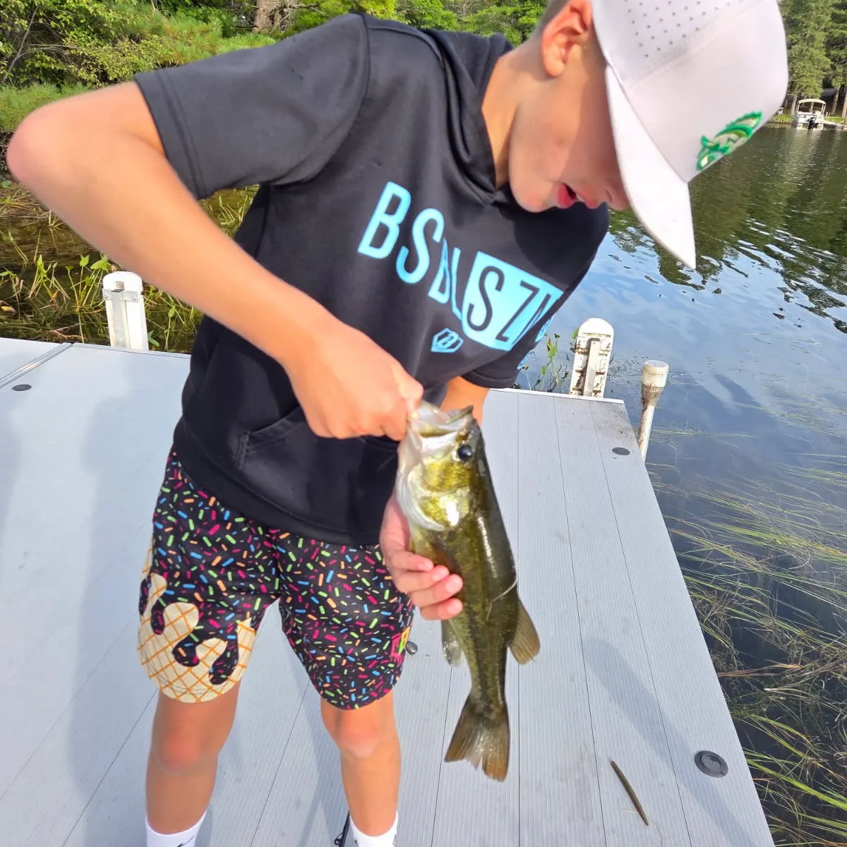 Largemouth bass caught on Fishbrain