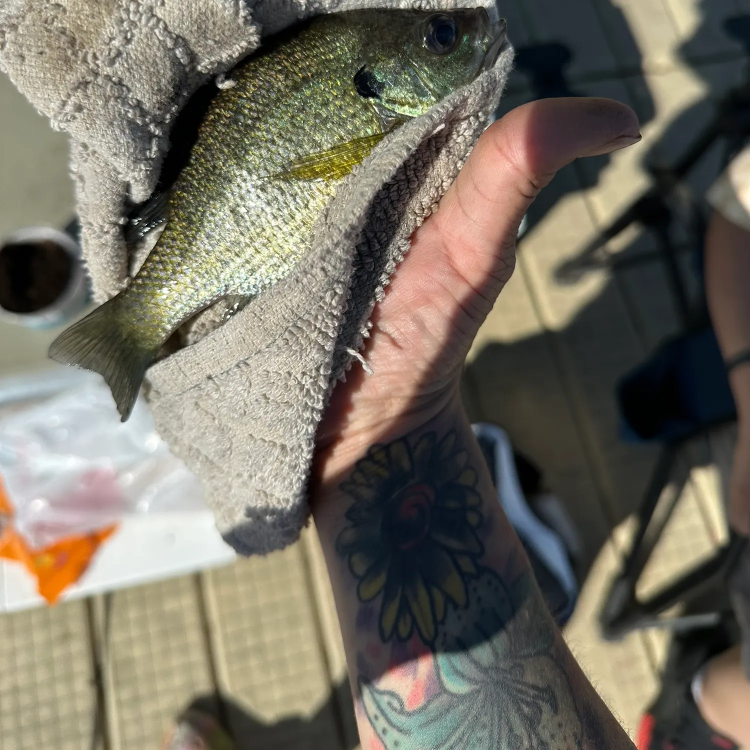 catch