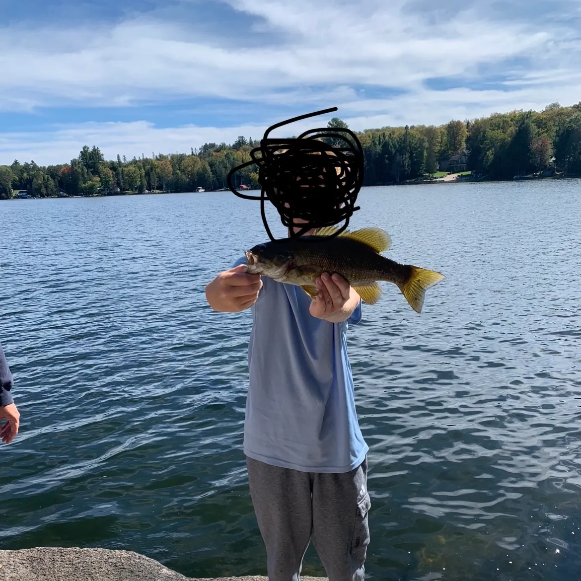 Smallmouth bass caught on Fishbrain
