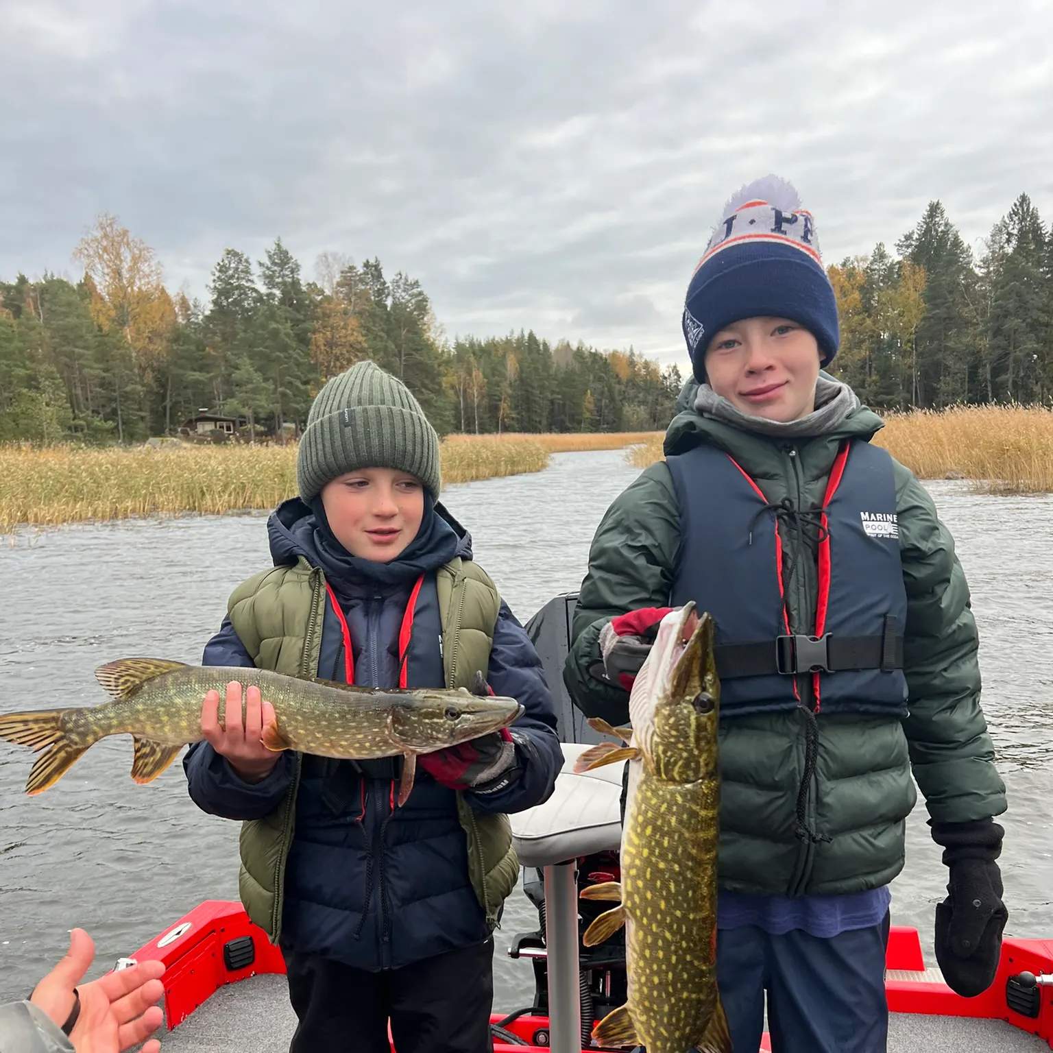 Northern pike caught on Fishbrain