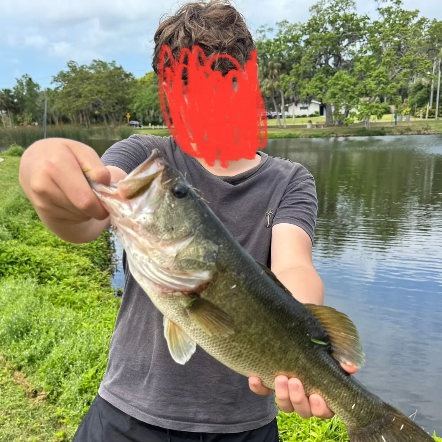 Largemouth bass caught on Fishbrain